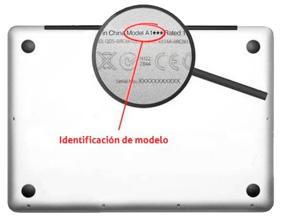 StaingateTecnik_modelos